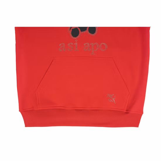 Suéter pulôver de lã com capuz feminino Asiapo China Factory de manga comprida para esportes ao ar livre